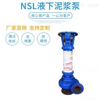 4NSL-15NSL型泥沙泵  立式泥浆泵 耐磨浮筒清淤泵
