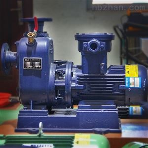 卧式清水泵 清水自吸泵  城市环保消防用泵