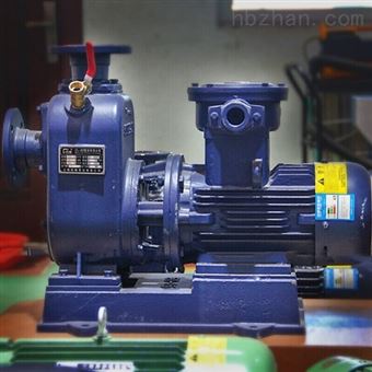 卧式清水泵 清水自吸泵  城市环保消防用泵